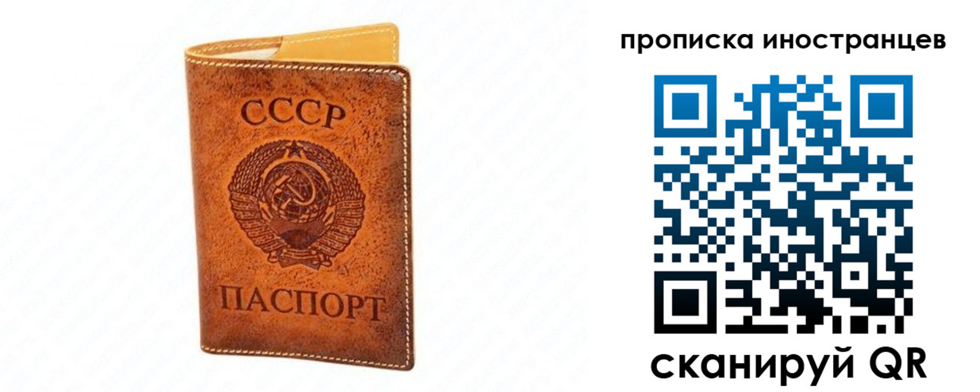 прописка для школы в Зарайске